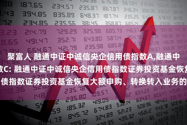聚富人 融通中证中诚信央企信用债指数A,融通中证中诚信央企信用债指数C: 融通中证中诚信央企信用债指数证券投资基金恢复大额申购、转换转入业务的公告