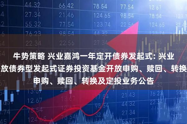 牛势策略 兴业嘉鸿一年定开债券发起式: 兴业嘉鸿一年定期开放债券型发起式证券投资基金开放申购、赎回、转换及定投业务公告