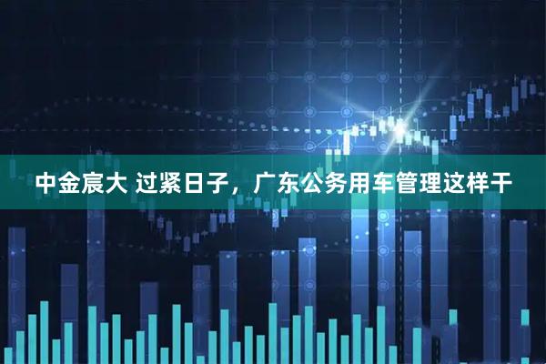 中金宸大 过紧日子，广东公务用车管理这样干